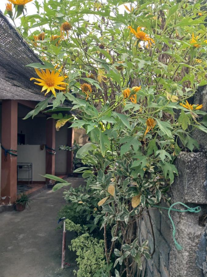 Melbao Homestay Νησιά Γκίλι Εξωτερικό φωτογραφία